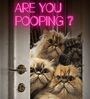 BATHROOM WALL  DECOR   ARE YOU POOPING? CAT FRAME HD Poster With Black Frame, 12.5   17.3 Inches