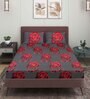 Black Floral 144 TC Microfiber Double Sized Bedsheet With 2 Pillow Covers