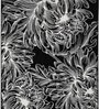 Black Floral Blended Linen 3 ft x 5 ft Machine Made Carpet