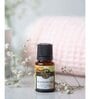 Frankincense   Essential Oil