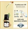 Frankincense   Essential Oil