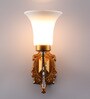 Opaline Gold Glass Wall Sconces