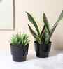 Black Glossy Table Top Planter Set of 2