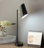 Black Gold Finish Modern Study Lamp
