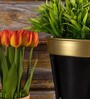 Black&Gold Metal Desk Planter Set of 1