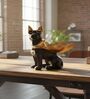 Black Gold Super Dog