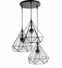 Gina Black Iron Cluster Hanging Light