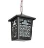 Black Iron 9 Watt Outdoor Hanging Light