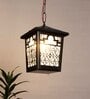 Black Iron 9 Watt Outdoor Hanging Light