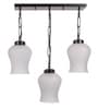 Black Iron and Glass Cluster Hanging Light