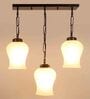 Black Iron and Glass Cluster Hanging Light