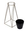 Big Pot Shape Black Planter with Wide Stand Set of 2