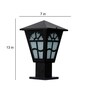 Antz Black Iron Gate Light