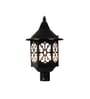Crisanto Black Iron Gate Light