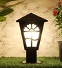 Antz Black Iron Gate Light