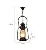 Veze Black Iron and Glass Hanging Light