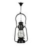 Veze Black Iron and Glass Hanging Light