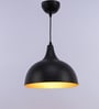 Bison Black Metal Hanging Light