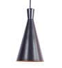 Barret Black Iron Hanging Light