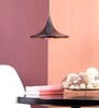 Ageo Black Iron Hanging Light