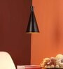 Barret Black Iron Hanging Light