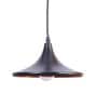 Ageo Black Iron Hanging Light