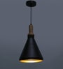 Pepper Black Metal Single Hanging Lights