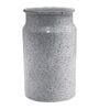 White Iron Metal Speckle Finish Flower vase(4.33 inch)