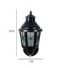 Orca Black Iron Outdoor Wall Light