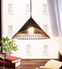Fuji Black Metal Single Hanging Lights