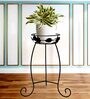 Black Iron Planter Stand