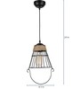 Triue Black Iron Hanging Light