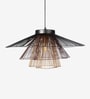 Black Iron Single Hanging Light Handcrafted
