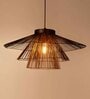 Black Iron Single Hanging Light Handcrafted