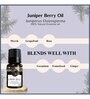 Juniper Berry   Essential Oil