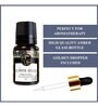 Juniper Berry   Essential Oil