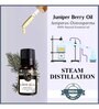 Juniper Berry   Essential Oil