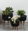 Metal & Jute Black Planter Set with Wooden Legs