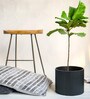 Midori Black Fiber Glass Floor Planter
