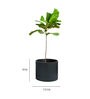 Midori Black Fiber Glass Floor Planter