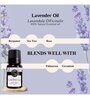 Lavender   Essential Oil