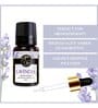 Lavender   Essential Oil