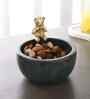 Black Marble Nut Candy Bowl Brass Teddy Embedded