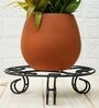 Black Metal (Set of 2) Plant Stands