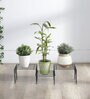 Black Metal (Set of 2) Planter Stands