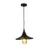 Wixen Black Metal Hanging Light