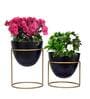 Alle (Set Of 2) Black Metal FloorPlanter