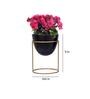 Alle (Set Of 2) Black Metal FloorPlanter