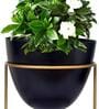 Black Metal Alle Desk Pot Desk Pot