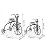 Black Metal Bicycle Showpieces Set Of 2
